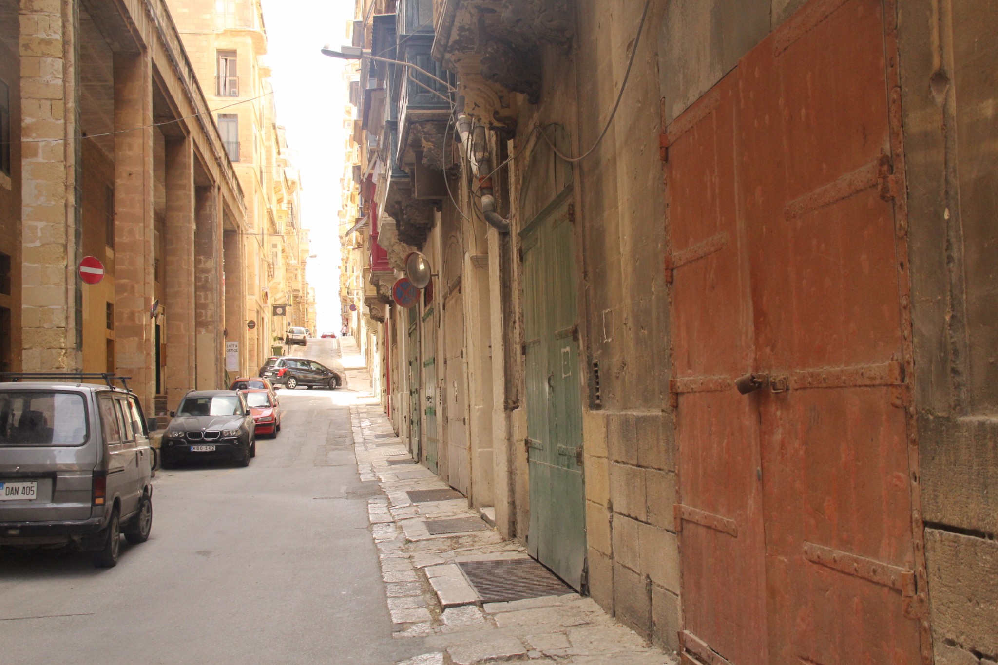 穿梭在古城墙间的壁虎和肆虐于阳光下的仙人掌