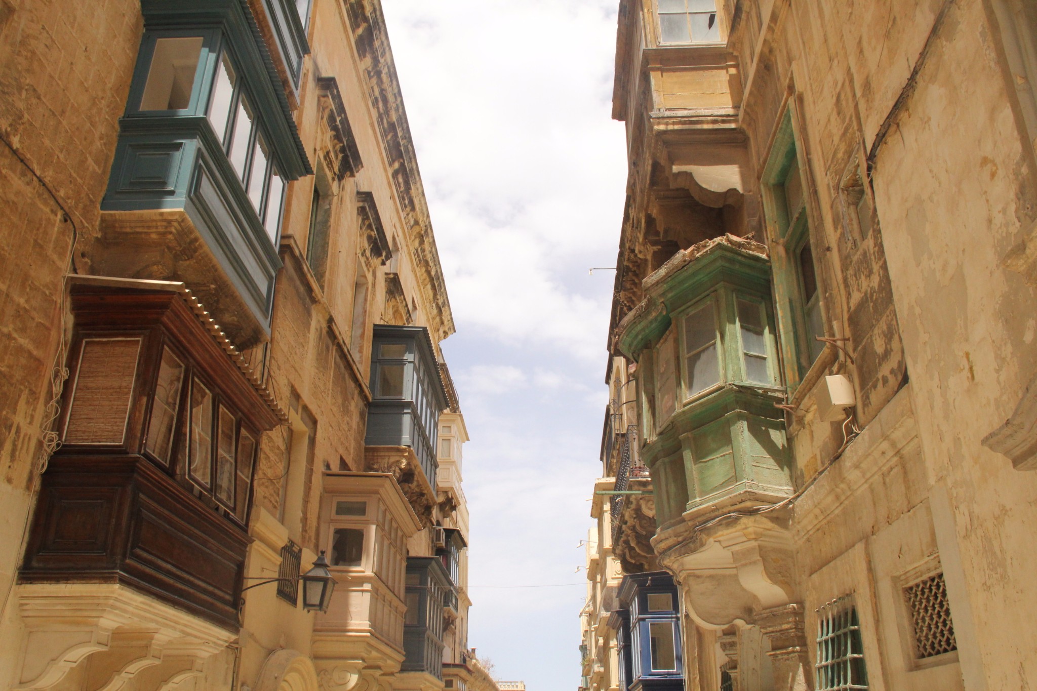 穿梭在古城墙间的壁虎和肆虐于阳光下的仙人掌