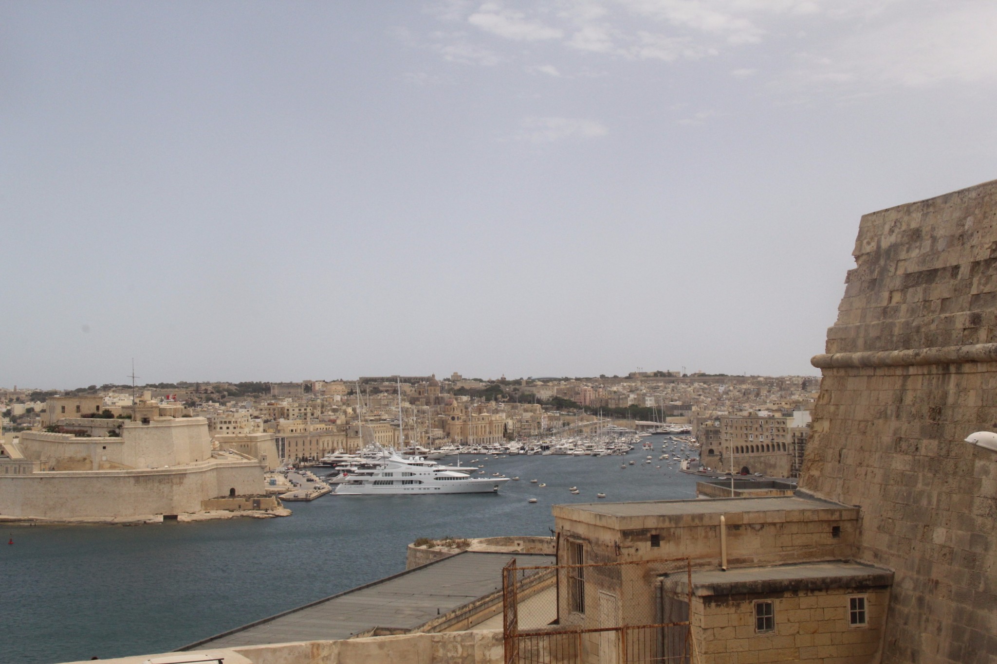 穿梭在古城墙间的壁虎和肆虐于阳光下的仙人掌