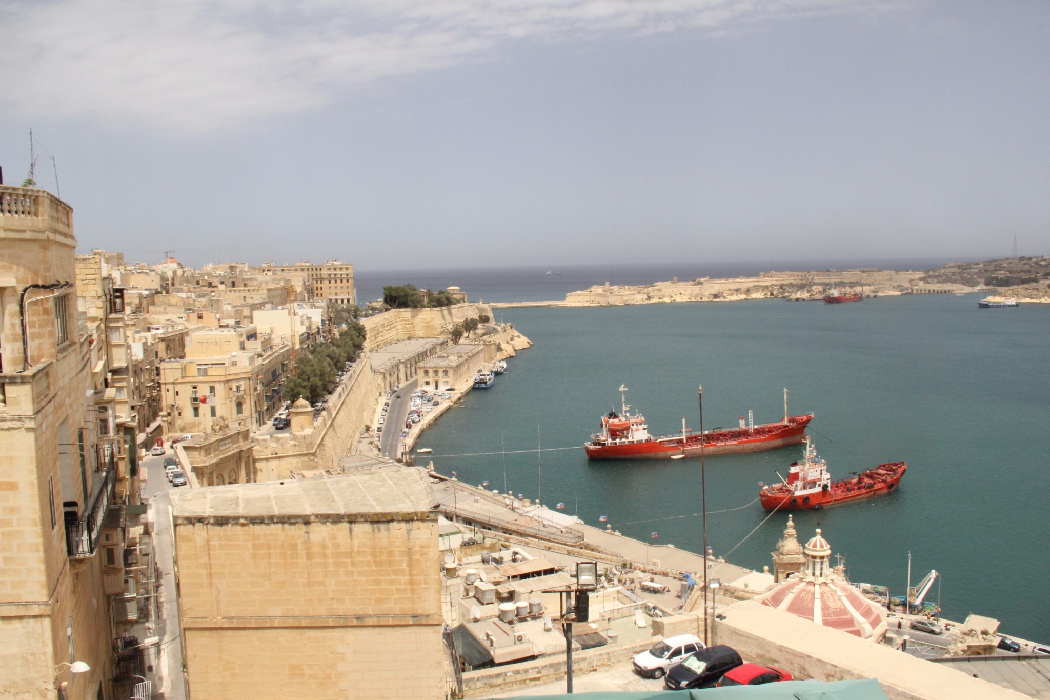 穿梭在古城墙间的壁虎和肆虐于阳光下的仙人掌