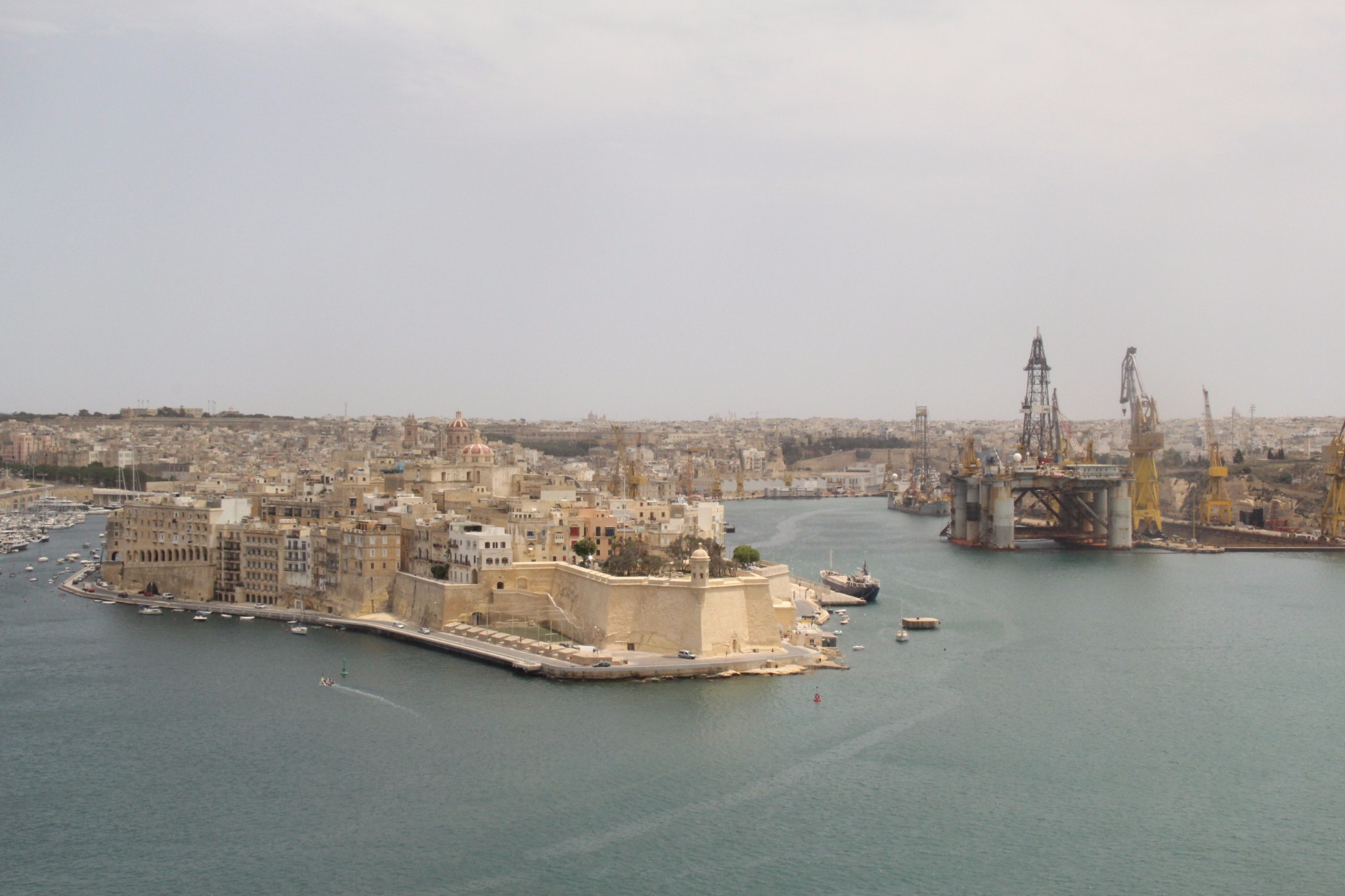 穿梭在古城墙间的壁虎和肆虐于阳光下的仙人掌