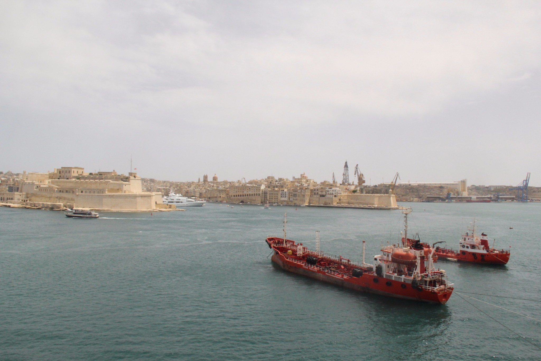 穿梭在古城墙间的壁虎和肆虐于阳光下的仙人掌