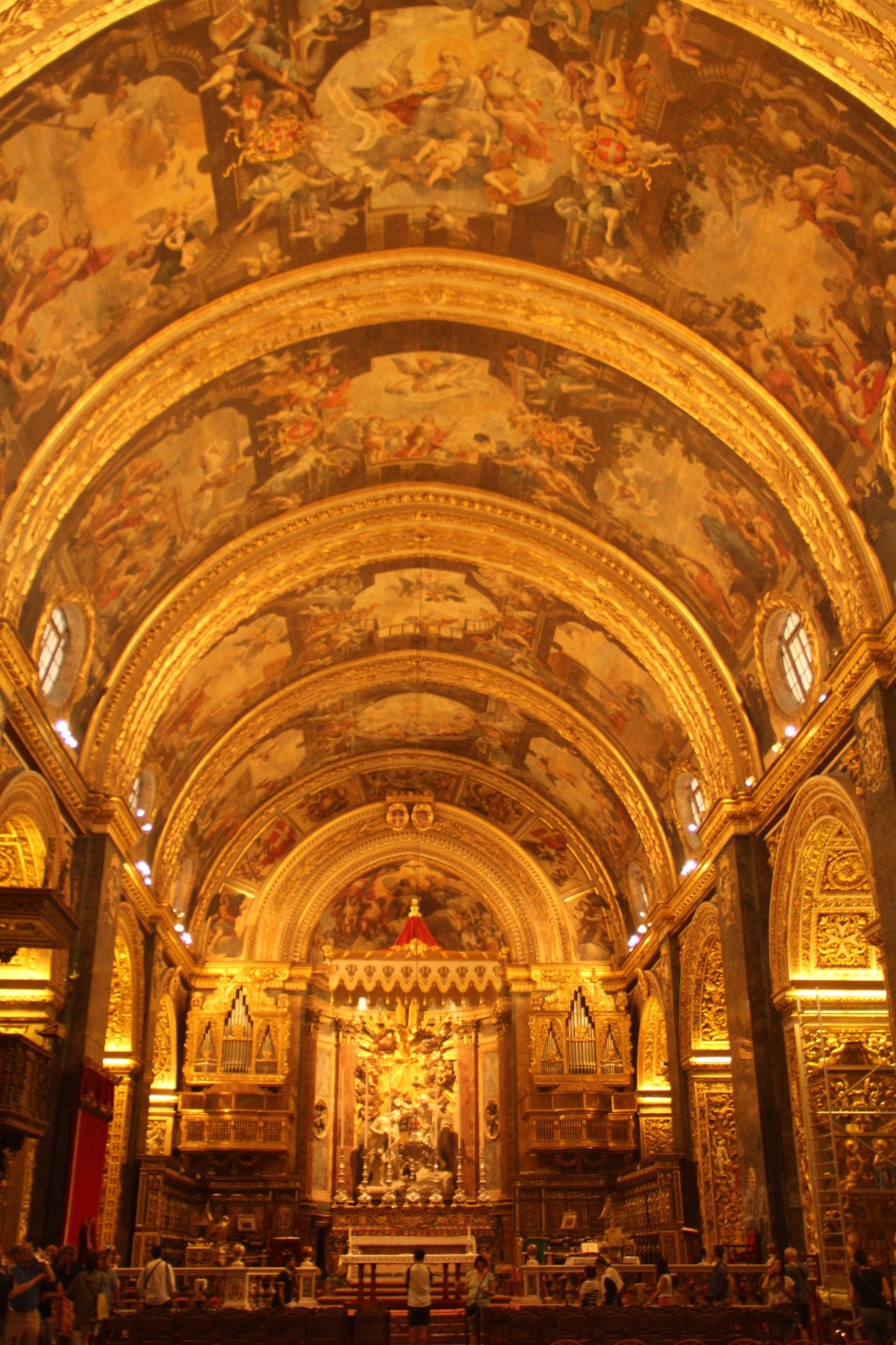 穿梭在古城墙间的壁虎和肆虐于阳光下的仙人掌