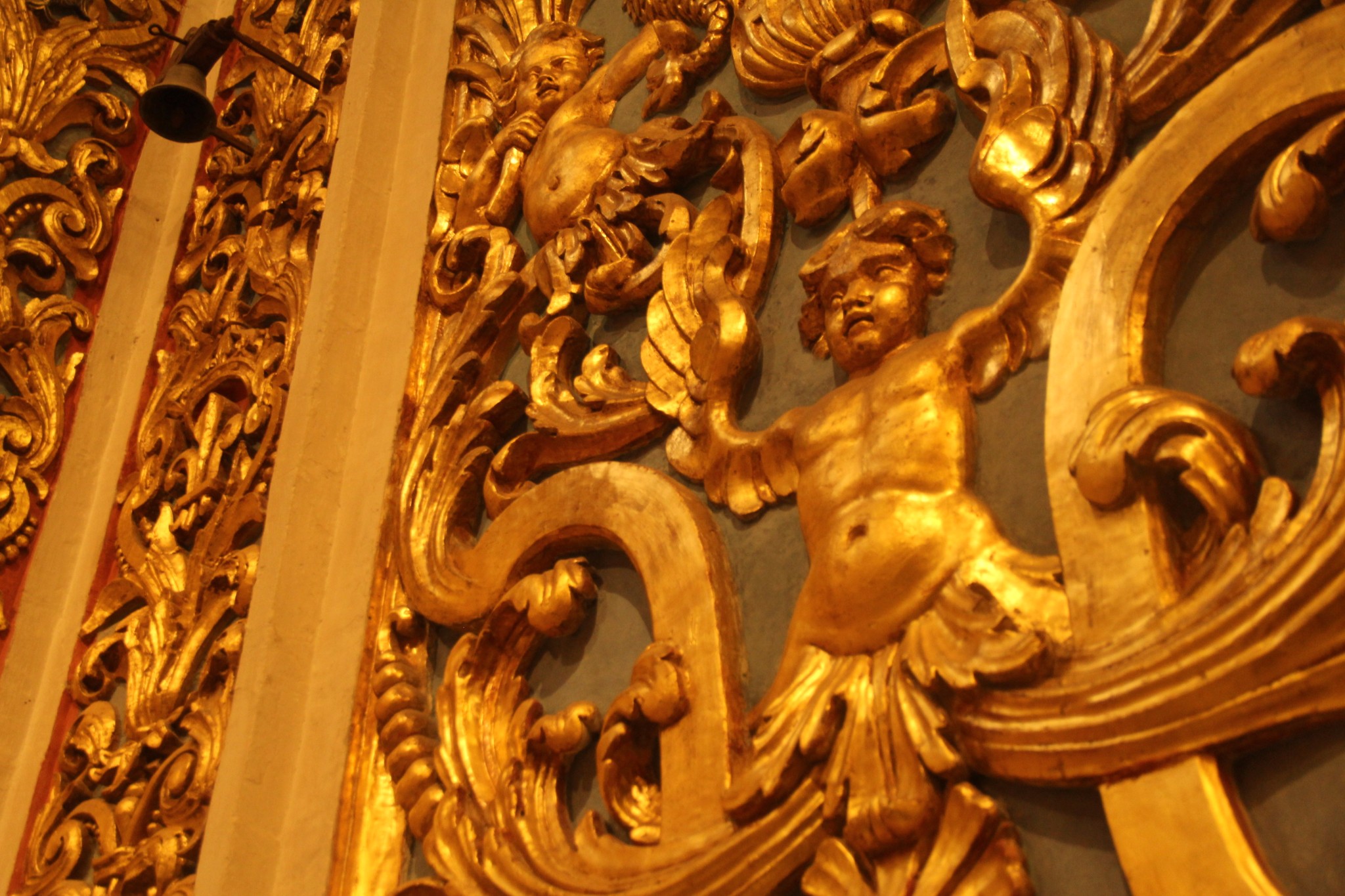 穿梭在古城墙间的壁虎和肆虐于阳光下的仙人掌