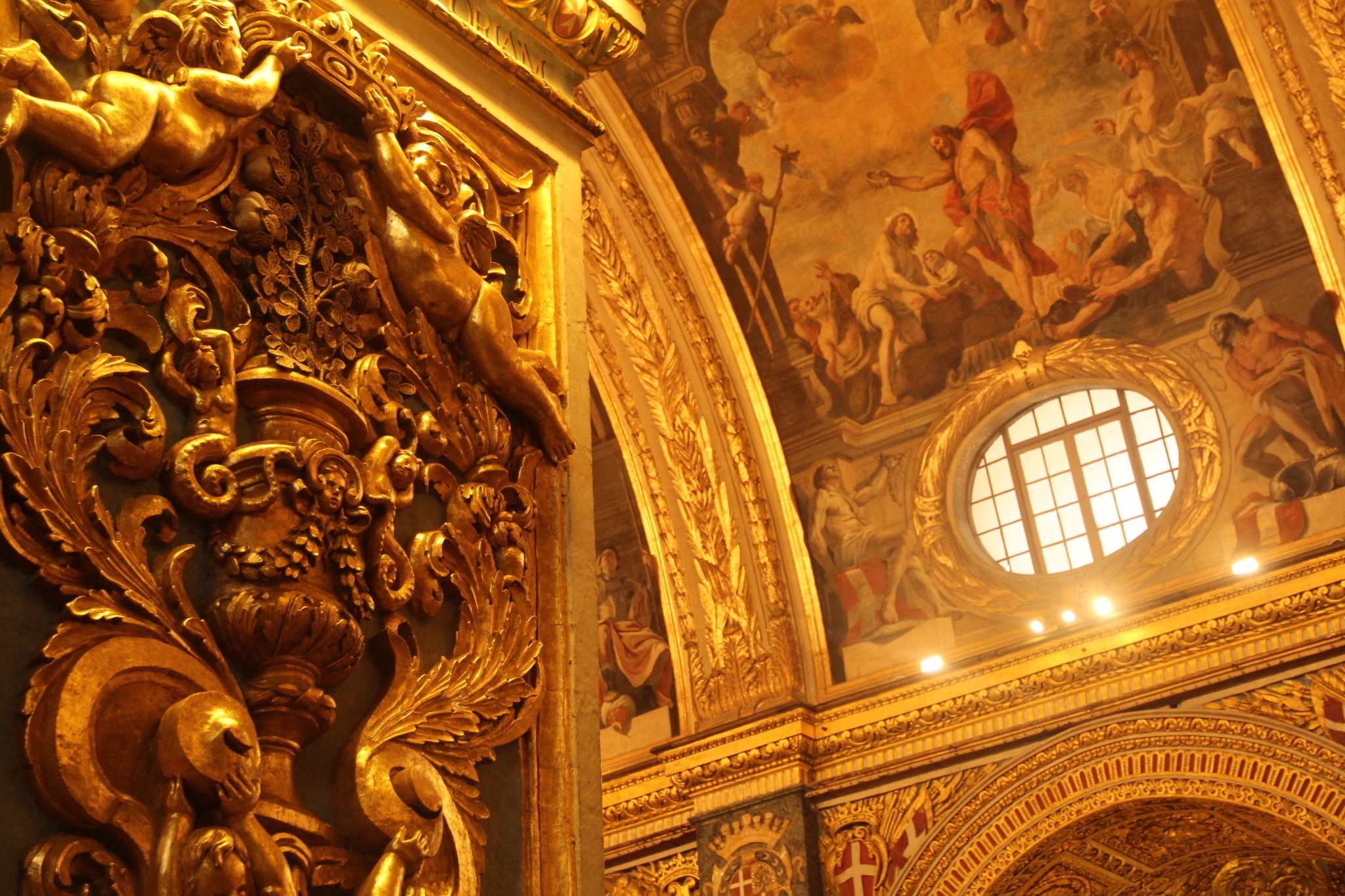 穿梭在古城墙间的壁虎和肆虐于阳光下的仙人掌