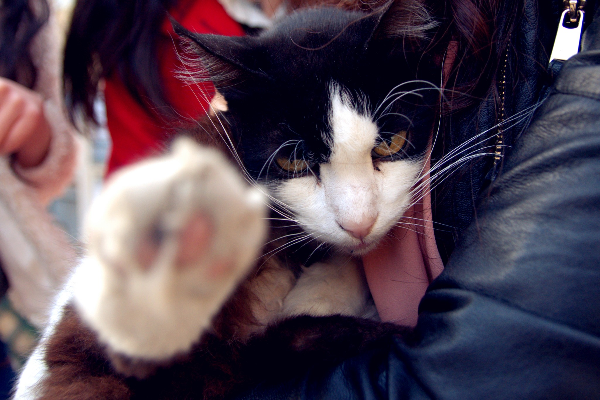 马耳他之旅,马耳他自助游攻略