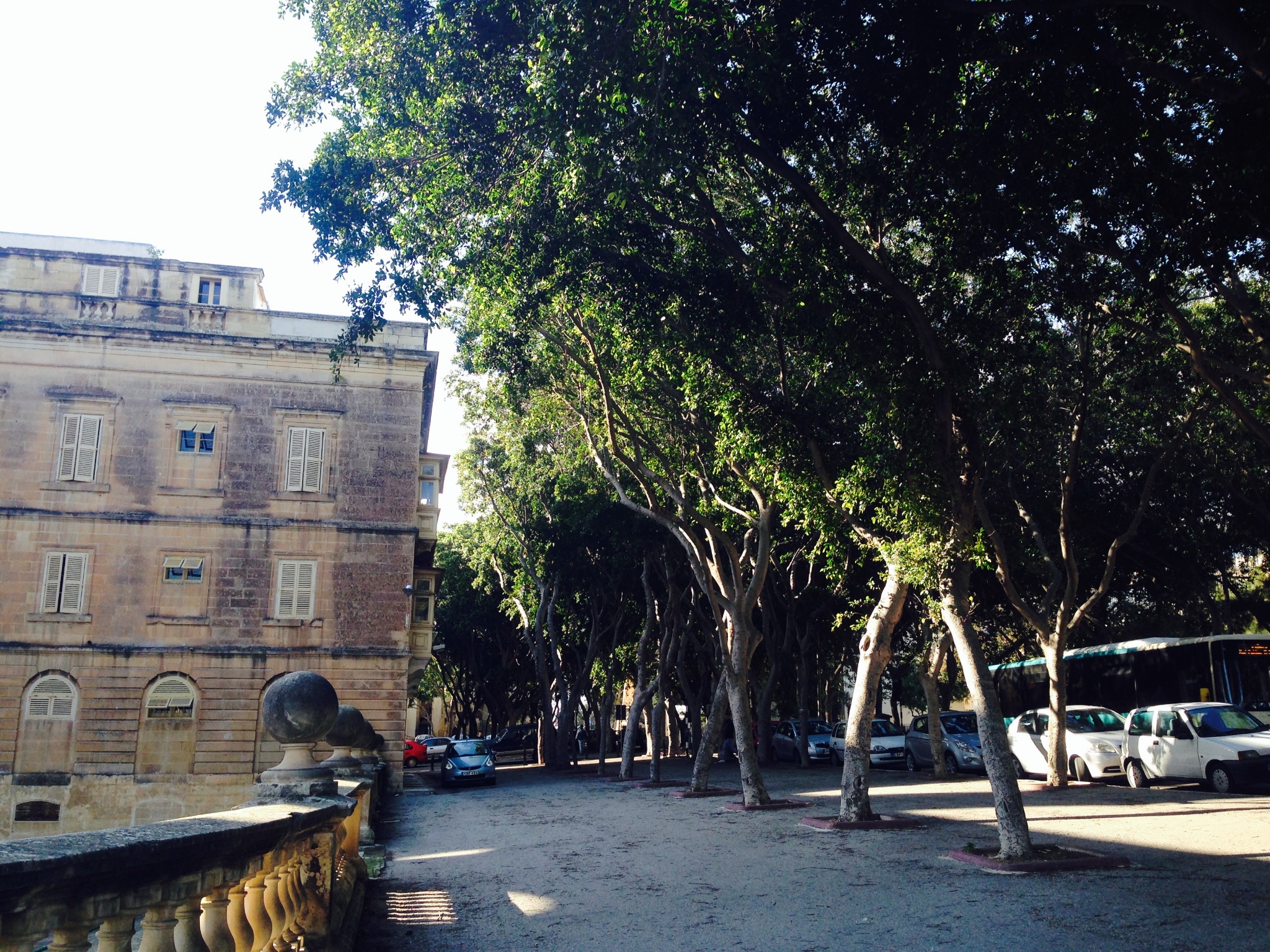 用尽全世界的土黄 地中海小岛马耳他,马耳他自助