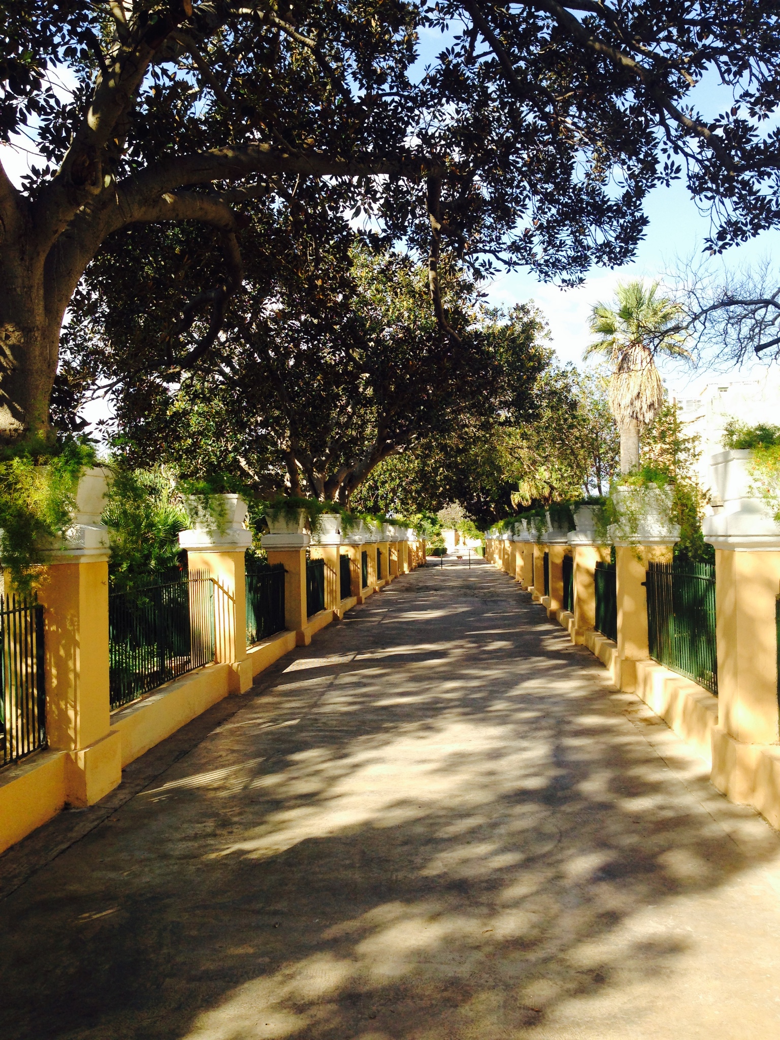 用尽全世界的土黄 地中海小岛马耳他,马耳他自助