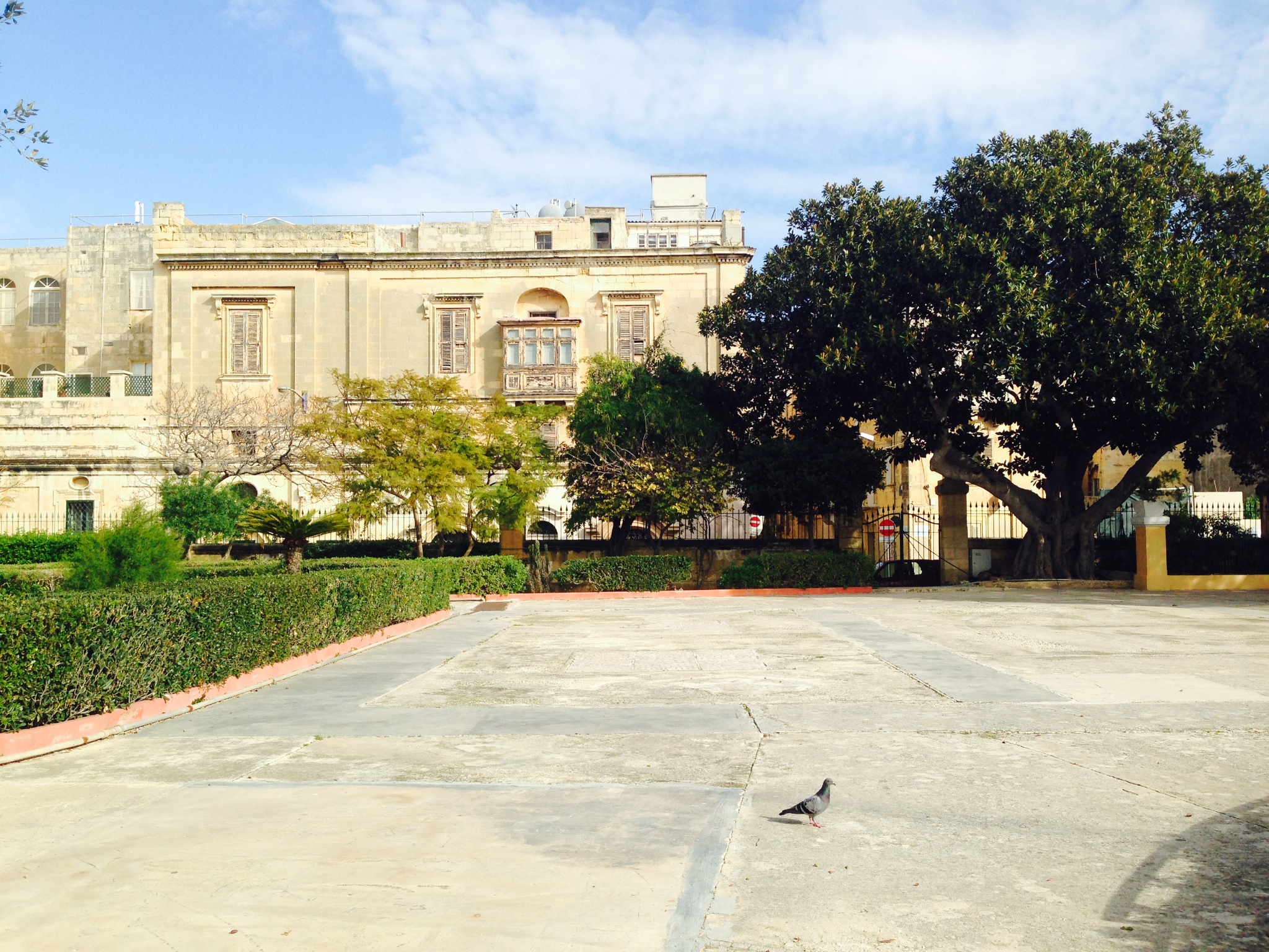 用尽全世界的土黄 地中海小岛马耳他,马耳他自助