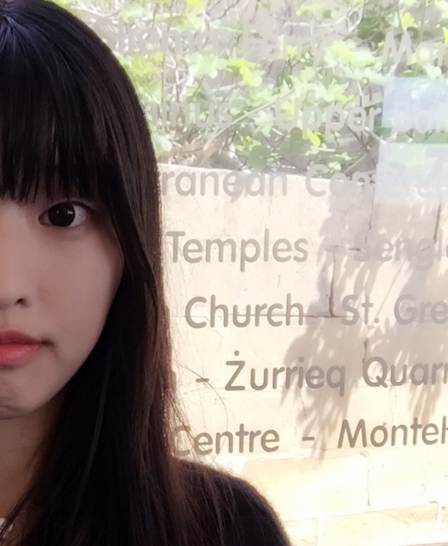 #花样游记大赛#写实版马耳他游记,马耳他旅游攻