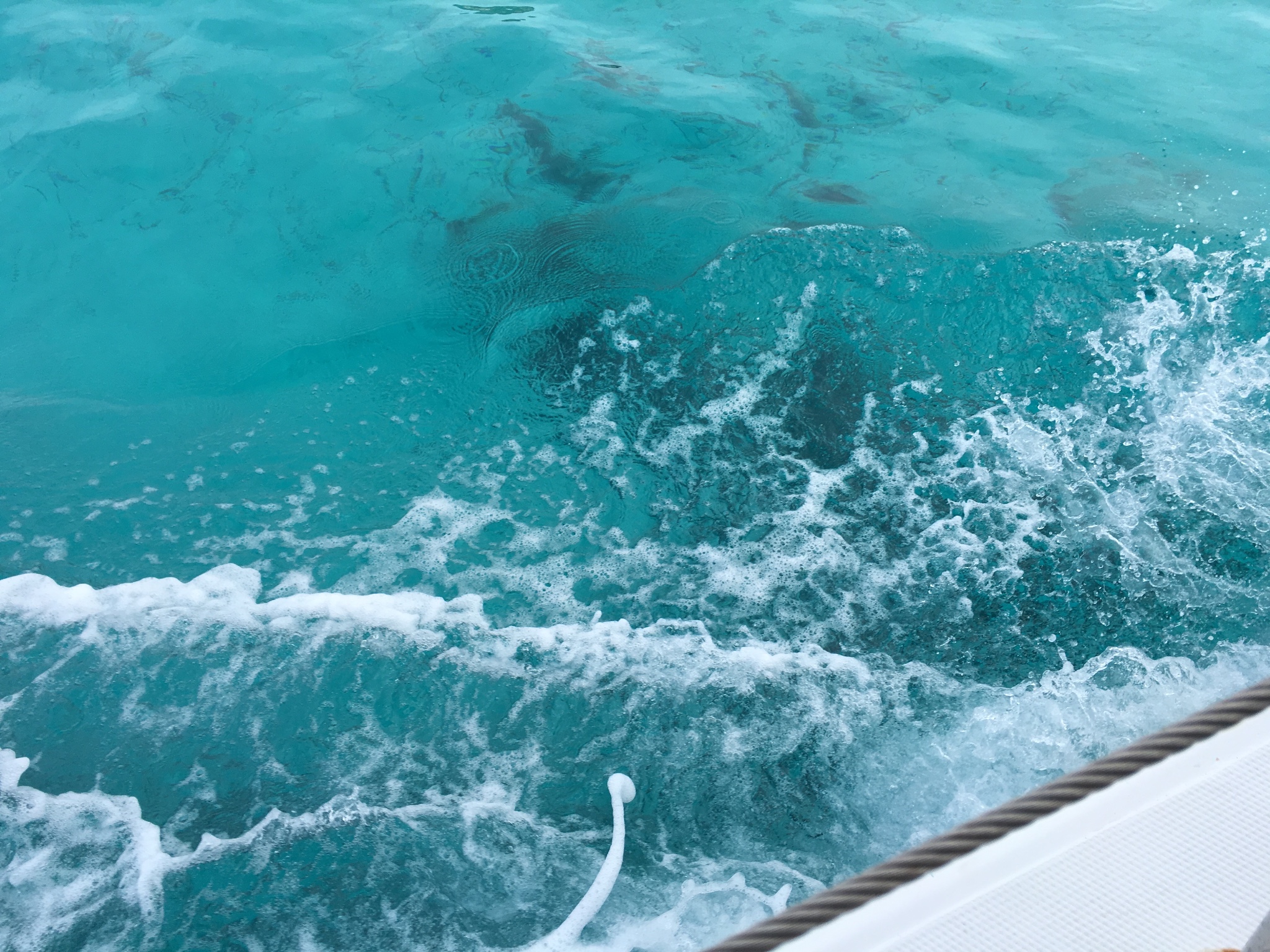 地中海上的珍珠小岛 :马耳他,马耳他自助游攻略