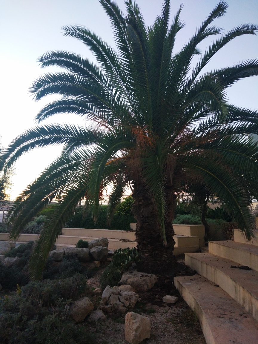 马耳他的碧海蓝天,马耳他自助游攻略