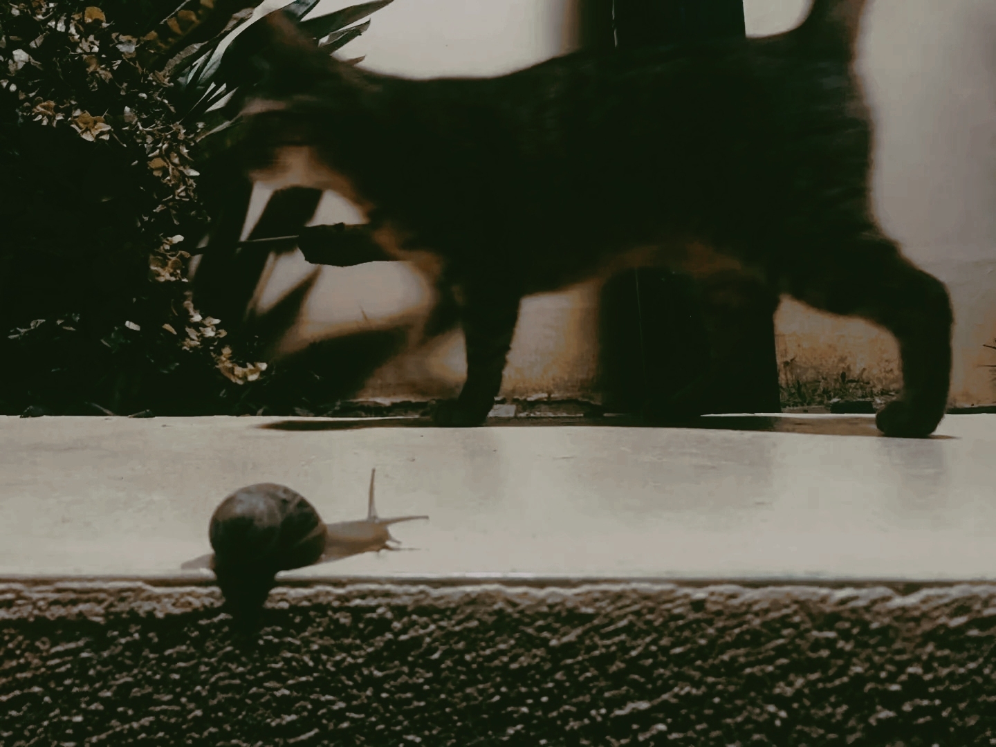 如果你爱《盗梦空间》,马耳他自助游攻略