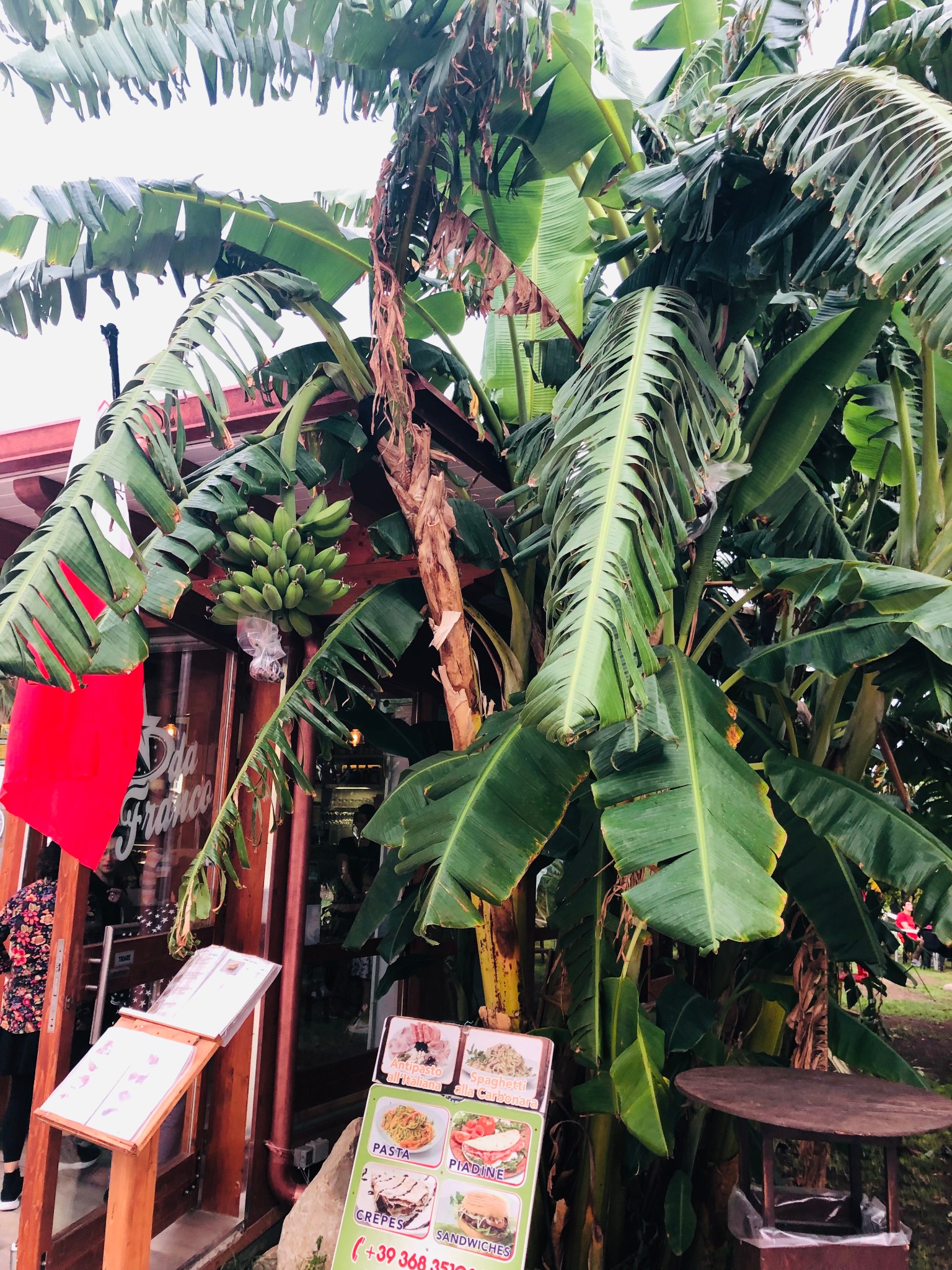 戈佐岛,马耳他自助游攻略