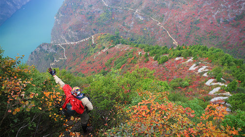  长江三峡红叶几月份开始变红？三峡红叶观赏指南