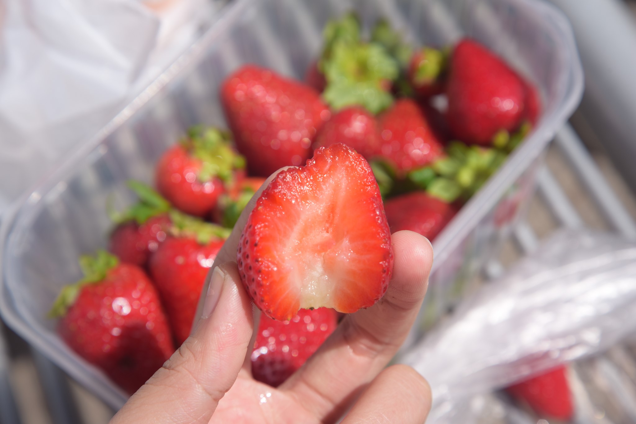 马耳他：二刷gozo岛 故地重游 尽情撒野,马耳他旅