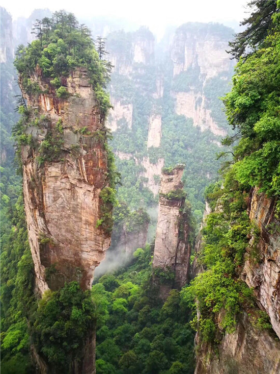  疫情爆发，形势不容乐观，大连康辉旅行社也建议您暂缓出行计划