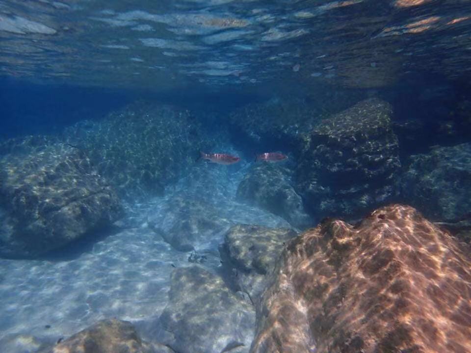 为了遇见更好的明天!Let's go!,马耳他自助游攻