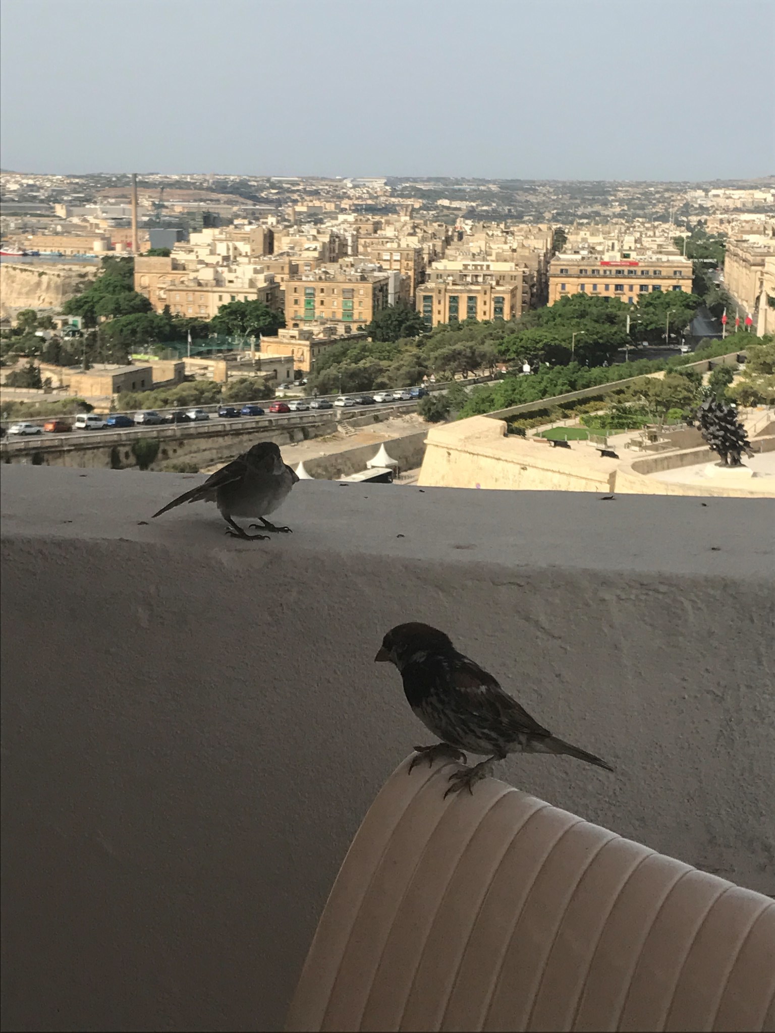 情迷地中海 特立独行马耳他,马耳他自助游攻略