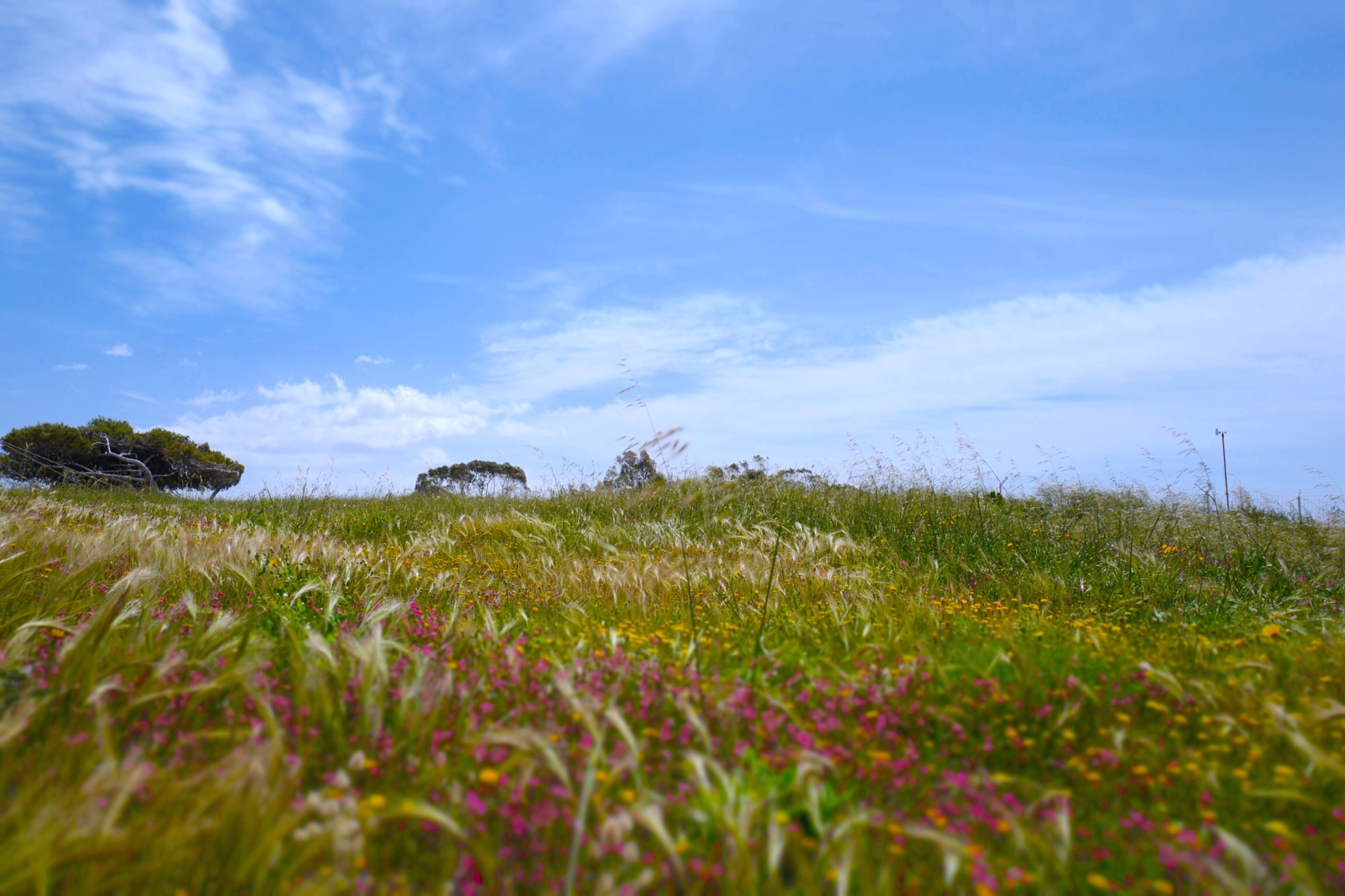 马耳他公共交通一周自由行,马耳他旅游攻略