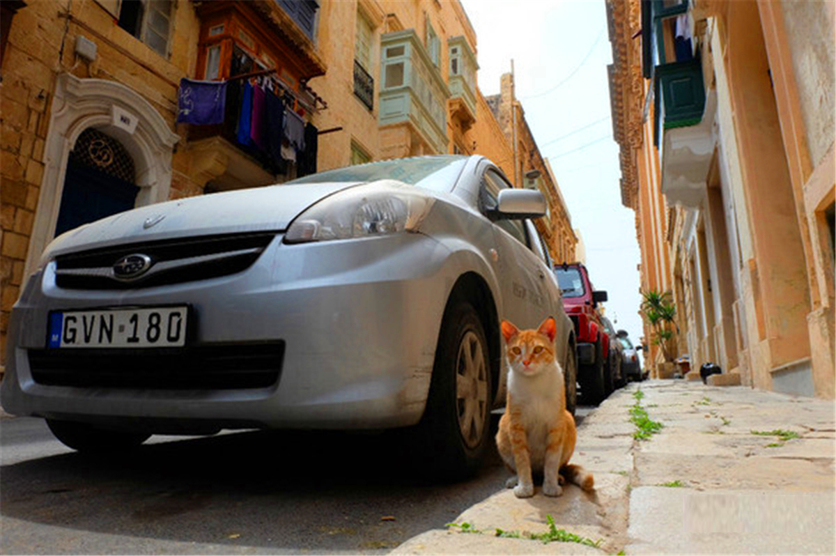 马耳他的美,堪比意大利、希腊,马耳他自助游攻