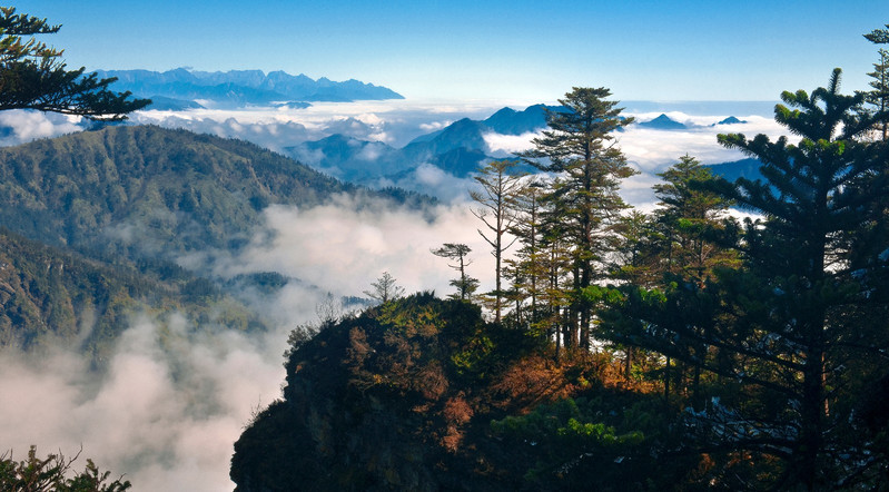  西岭雪山好玩吗？打卡初夏你不知道的西岭雪山