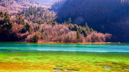  九寨沟开放了吗？九寨沟地震后恢复景观