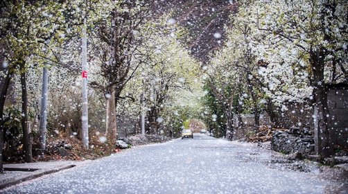  春季赏花去丹巴藏寨，丹巴梨花什么时候开？