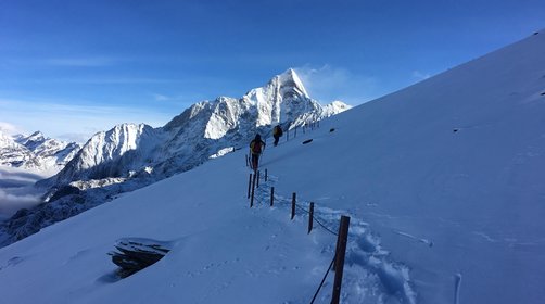  四姑娘山在哪里？四姑娘山旅游攻略看这里