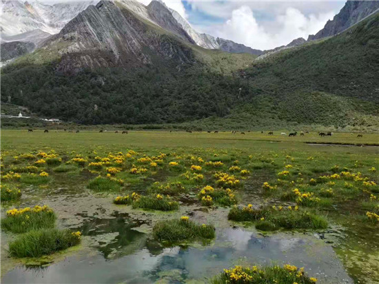 青川县文旅融合十三五进行旅游新模式