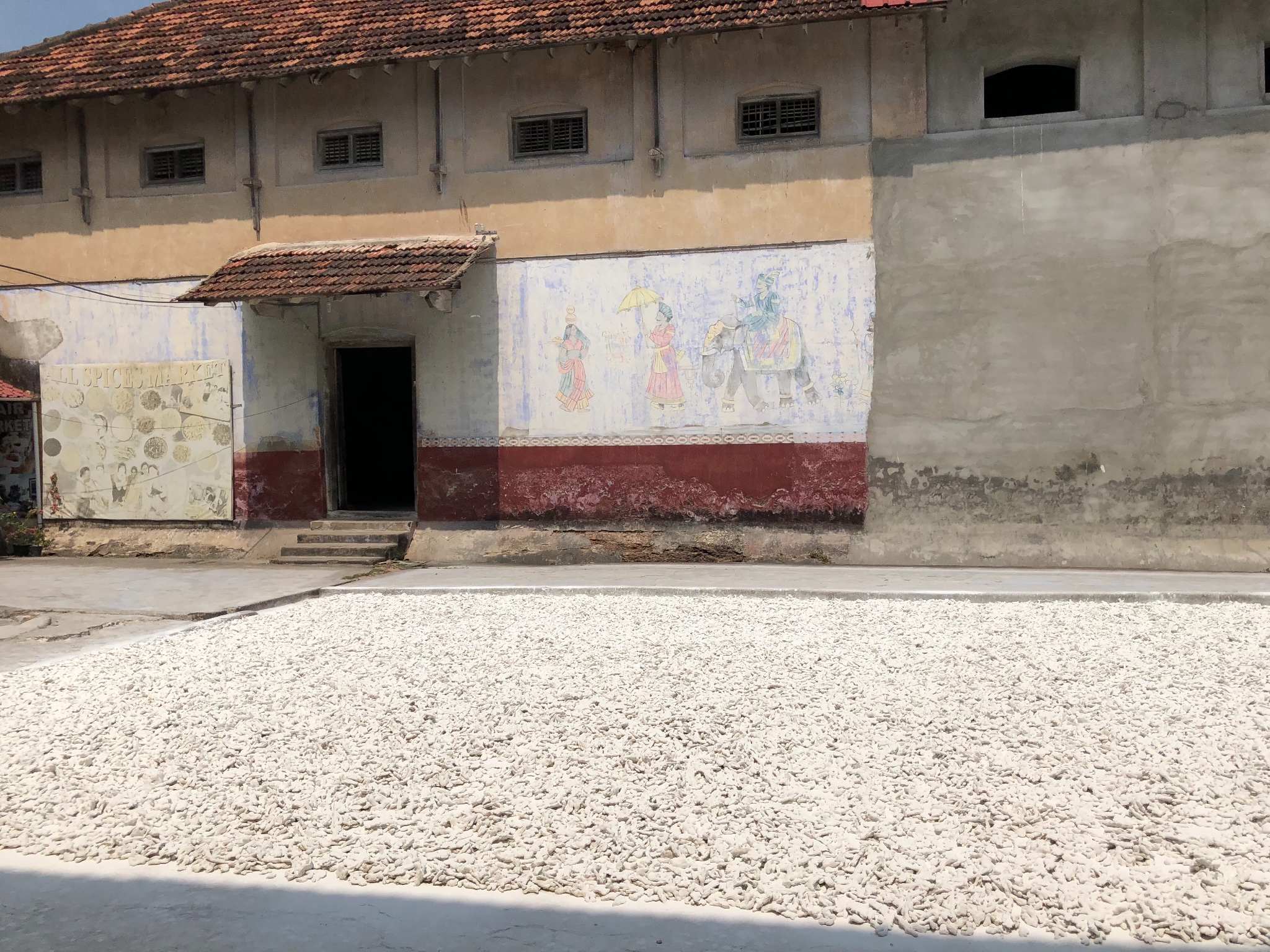 懒人漫游科钦记,马耳他旅游攻略