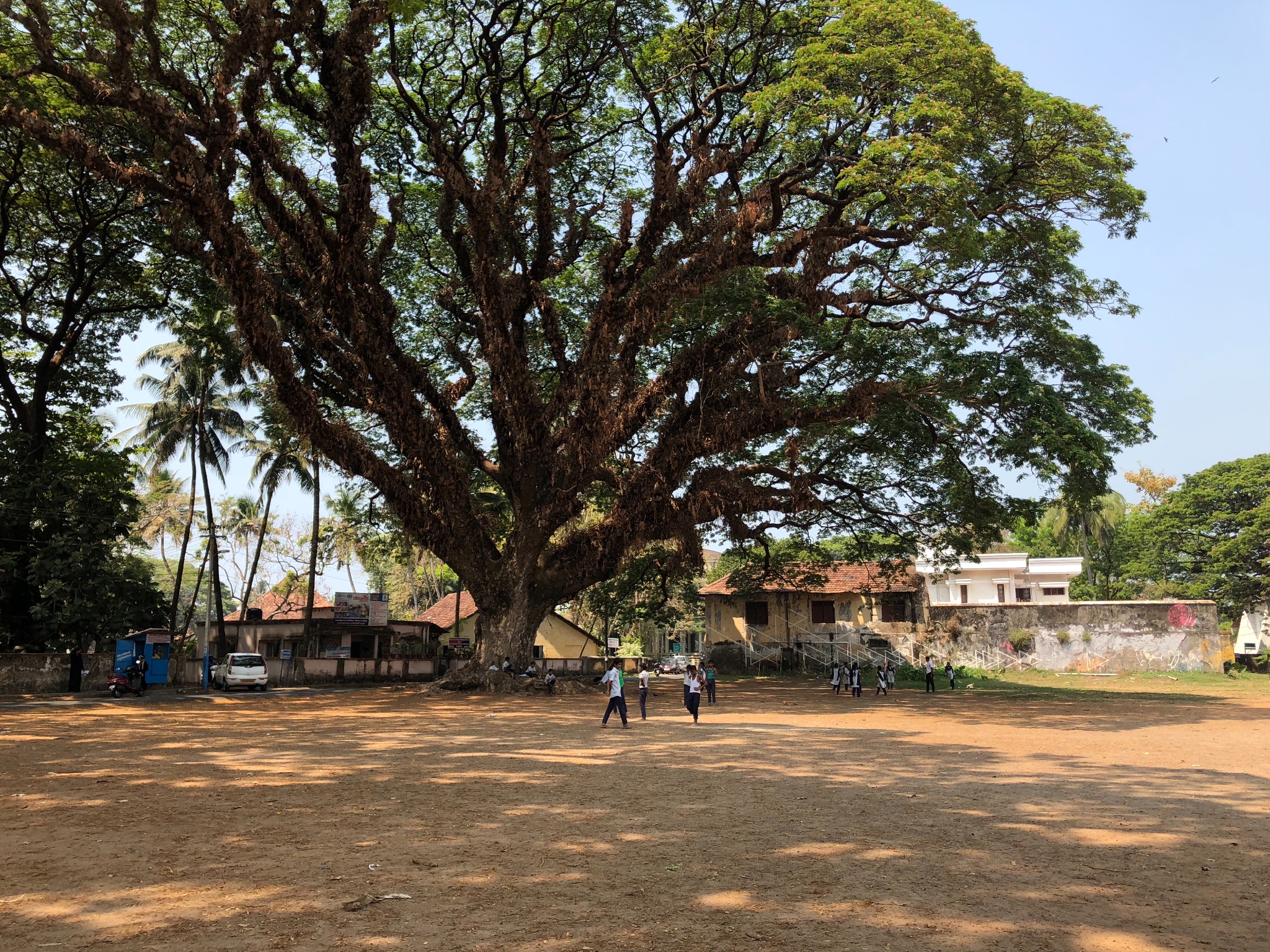 懒人漫游科钦记,马耳他旅游攻略