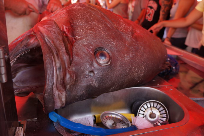 踏上地中海的心脏之骑士马耳他,马耳他旅游攻略