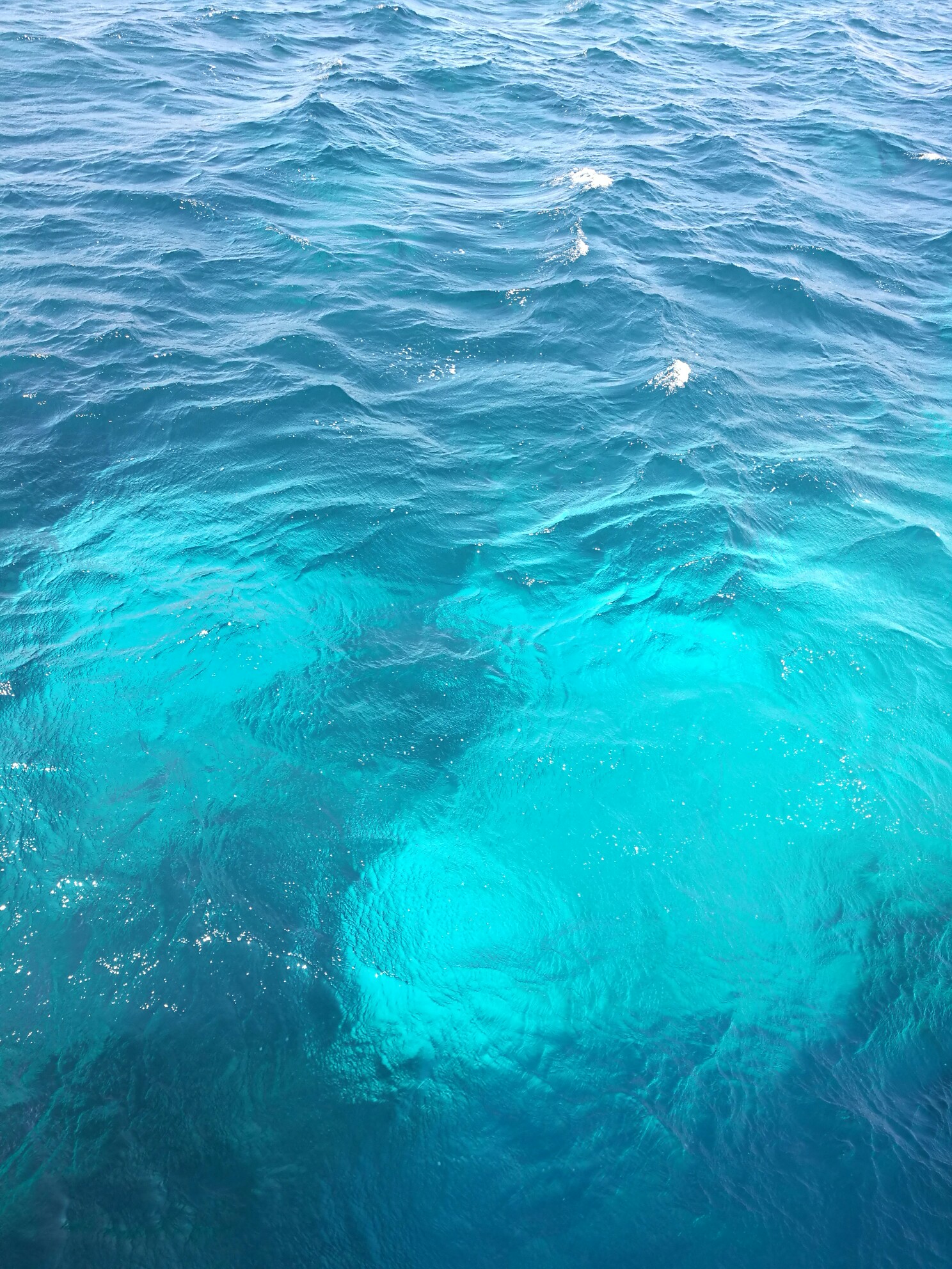 马耳他四日游,马耳他自助游攻略