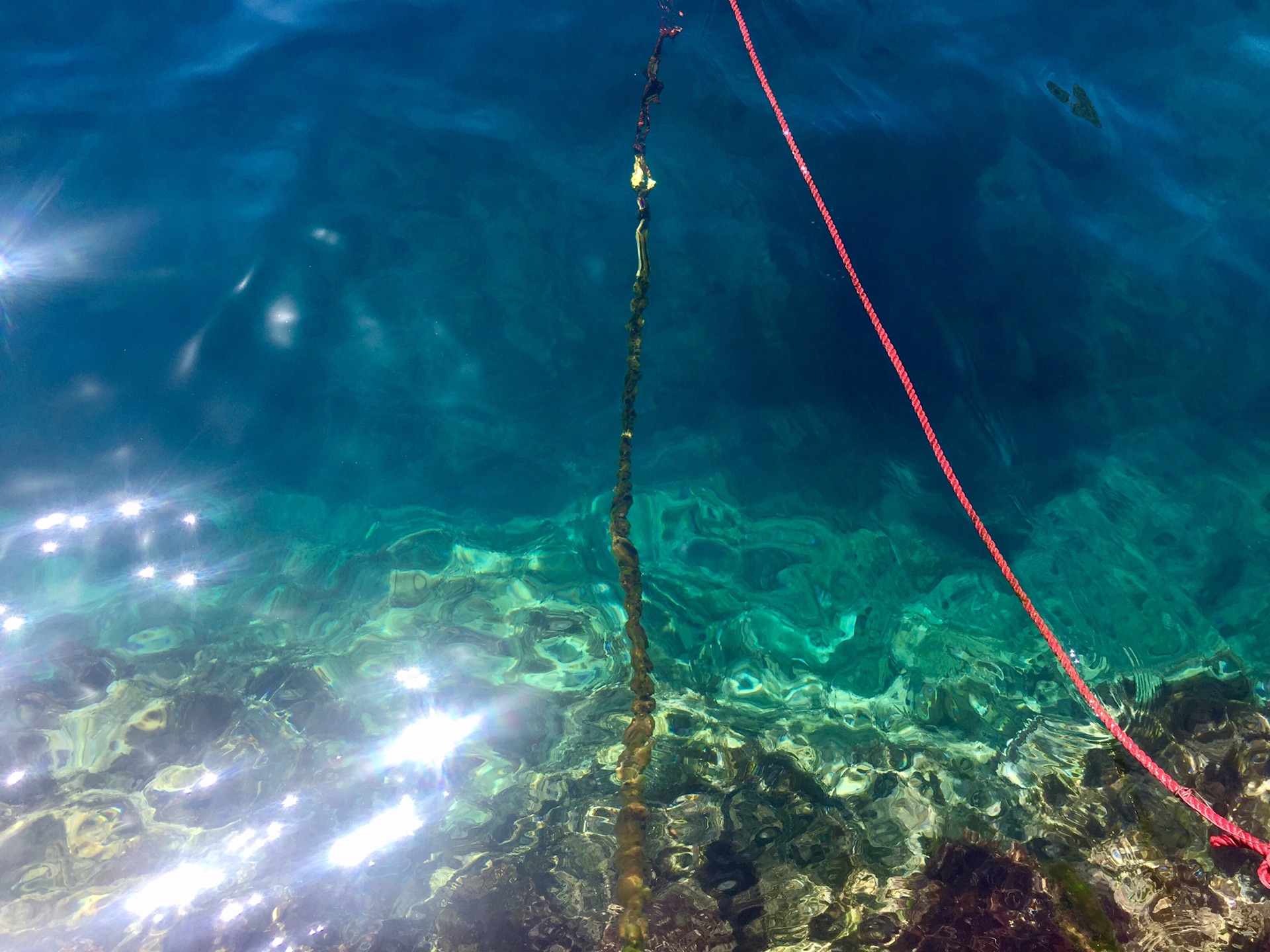 独闯马耳他历险记……海水竟美成这样(附详细