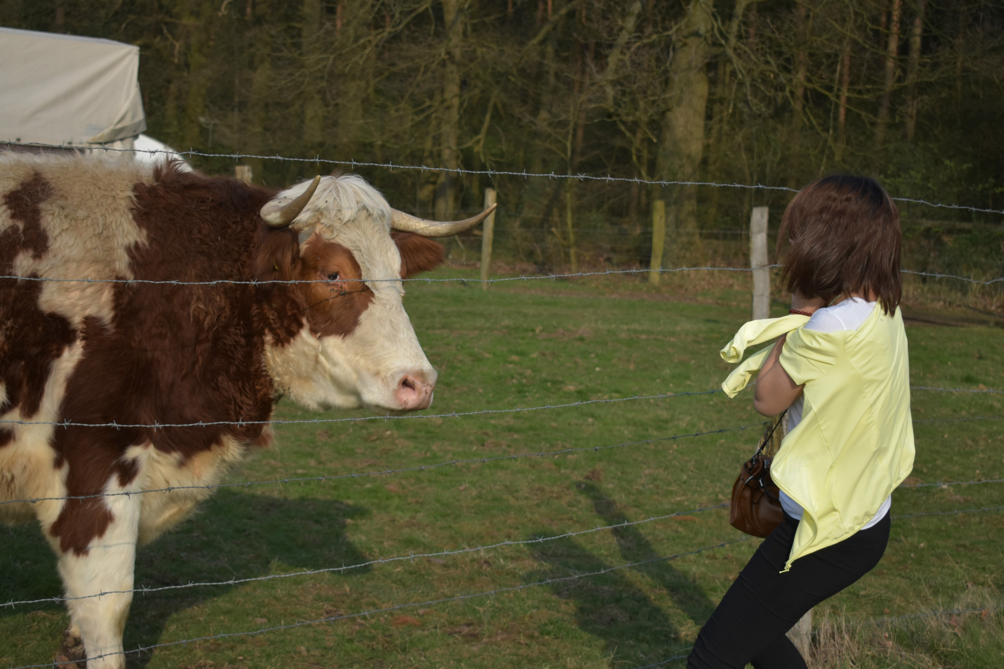 2017年4月黑森林与地中海的私人定制,马耳他自助