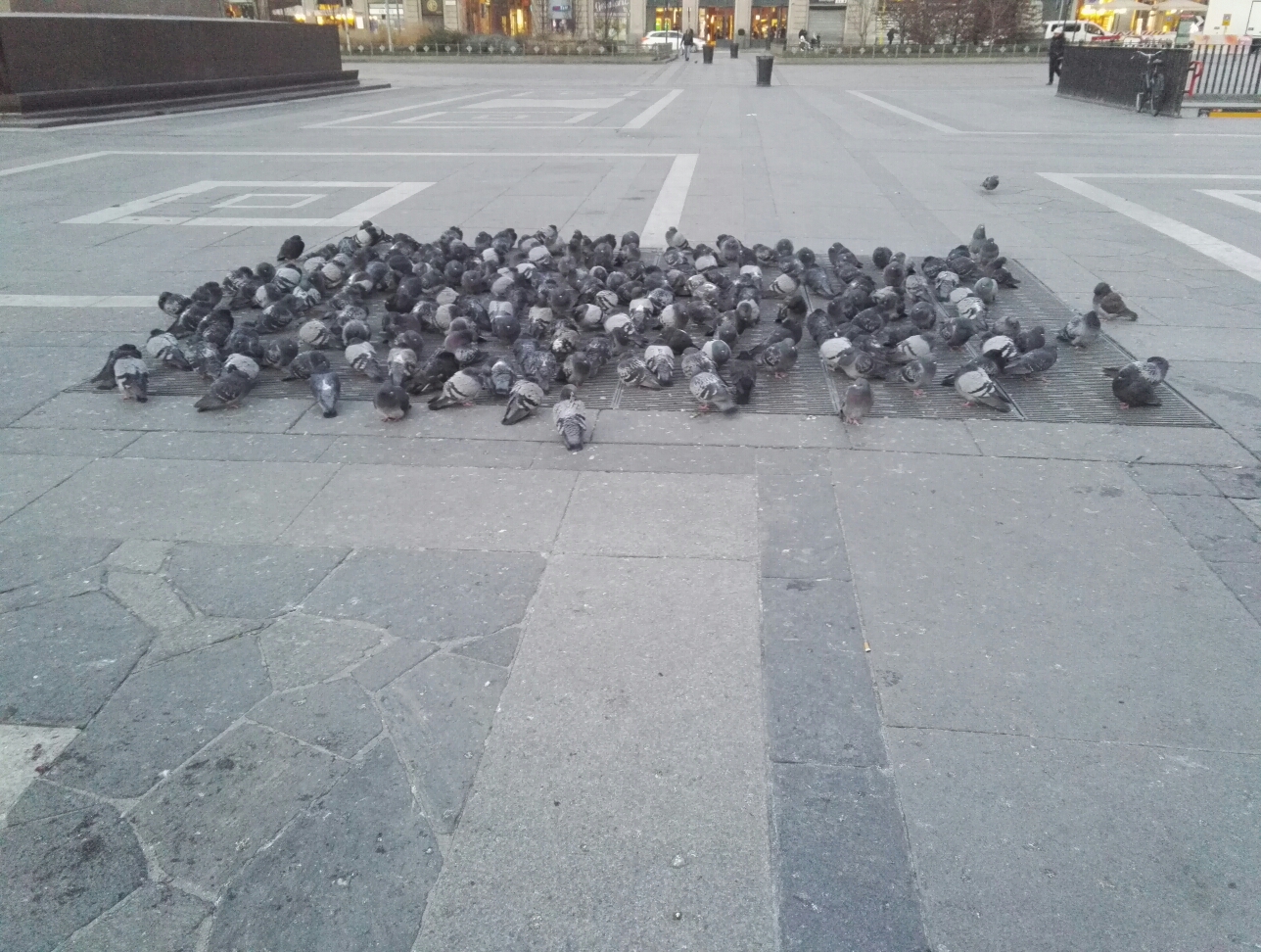 马耳他西西里5日游,马耳他旅游攻略