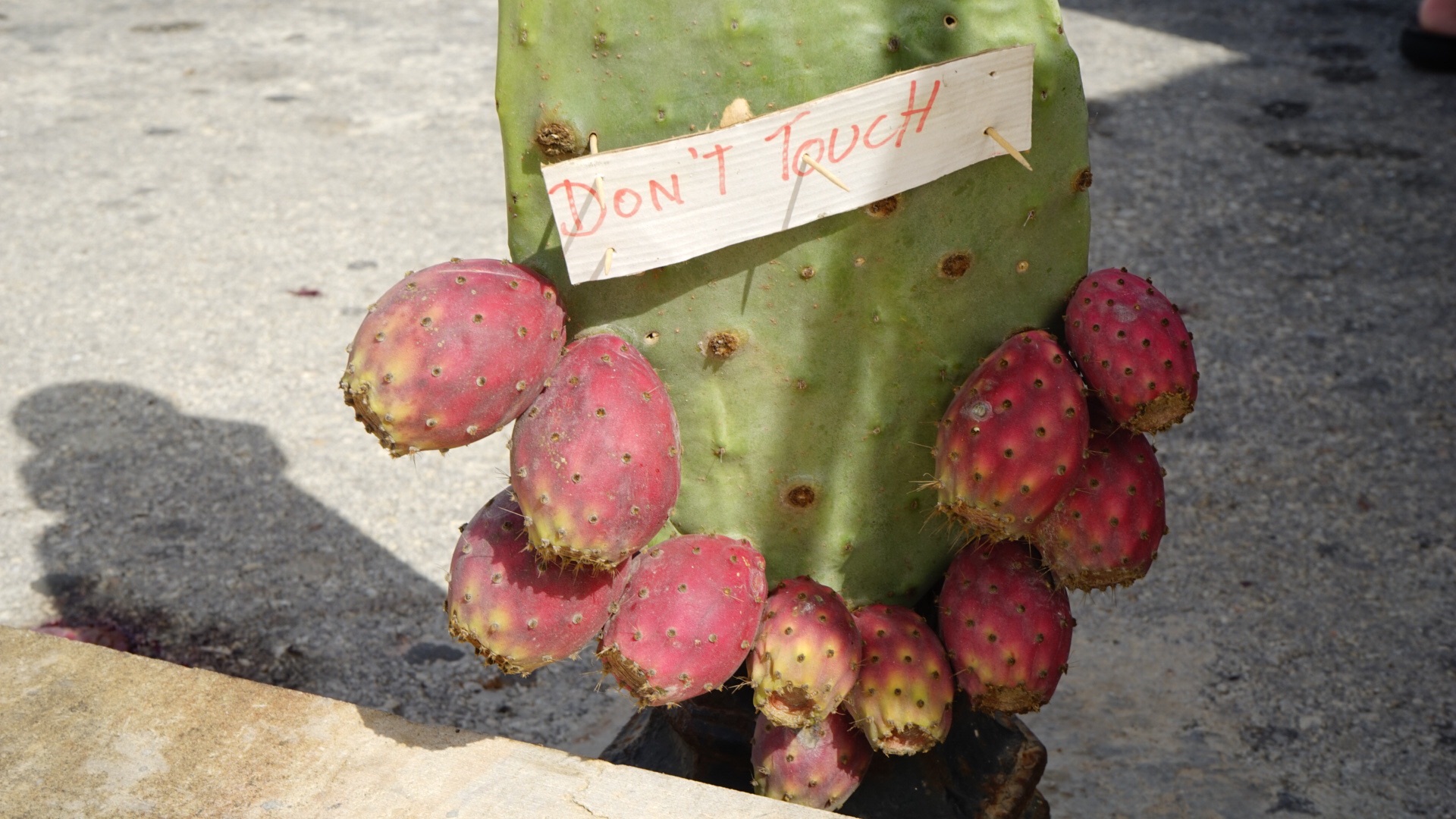 “地中海的心脏”马耳他 2016年10月,马耳他旅游攻