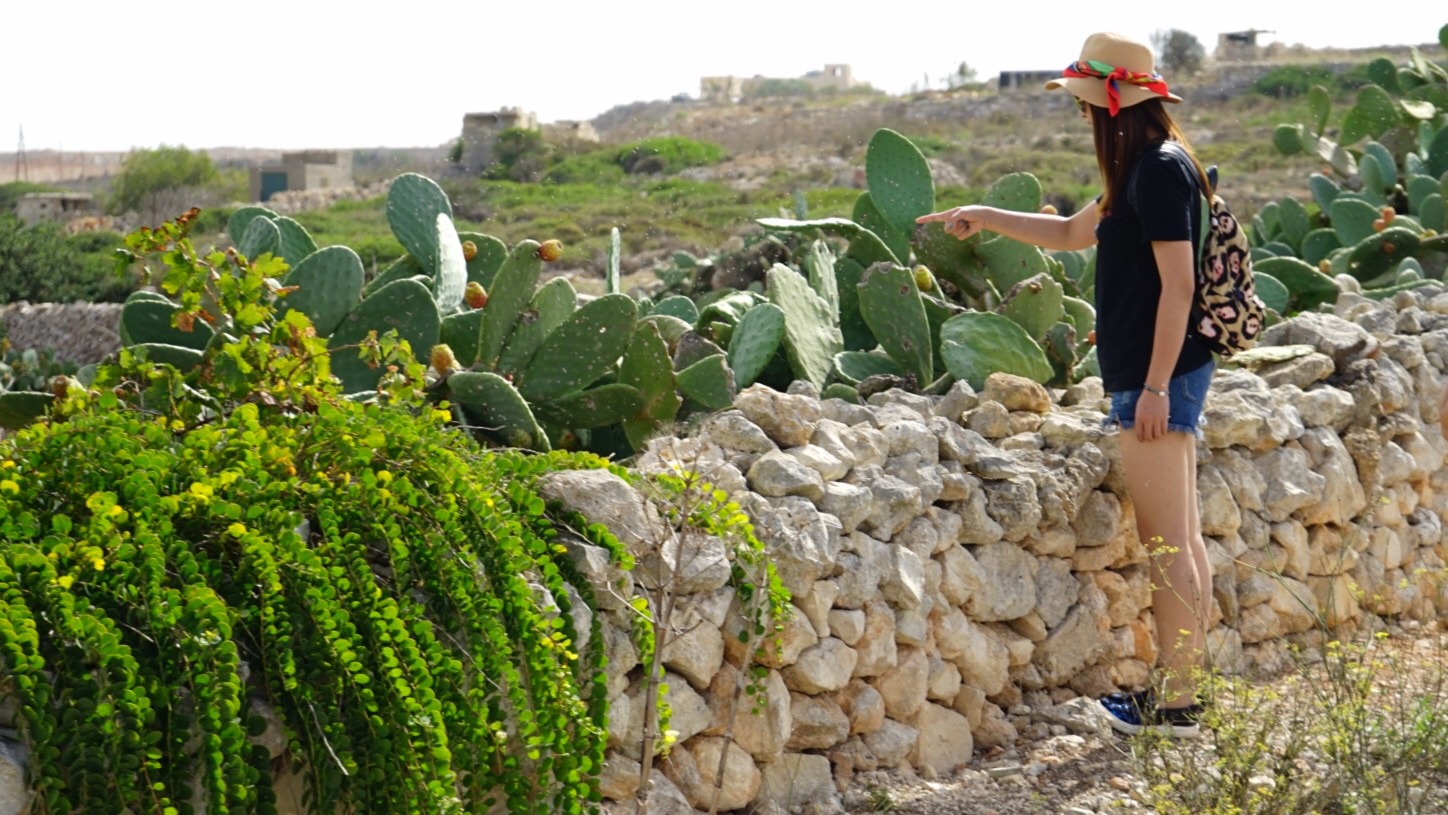 “地中海的心脏”马耳他 2016年10月,马耳他旅游攻