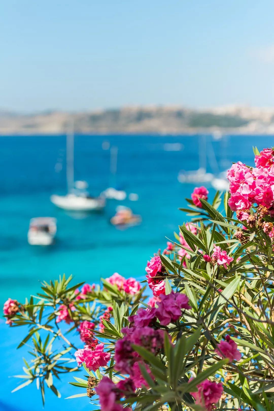 神仙岛国马耳他,犹如人间天堂,马耳他自助游攻