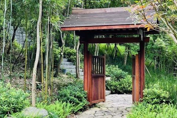 2021教师节深圳观澜山水田园活动