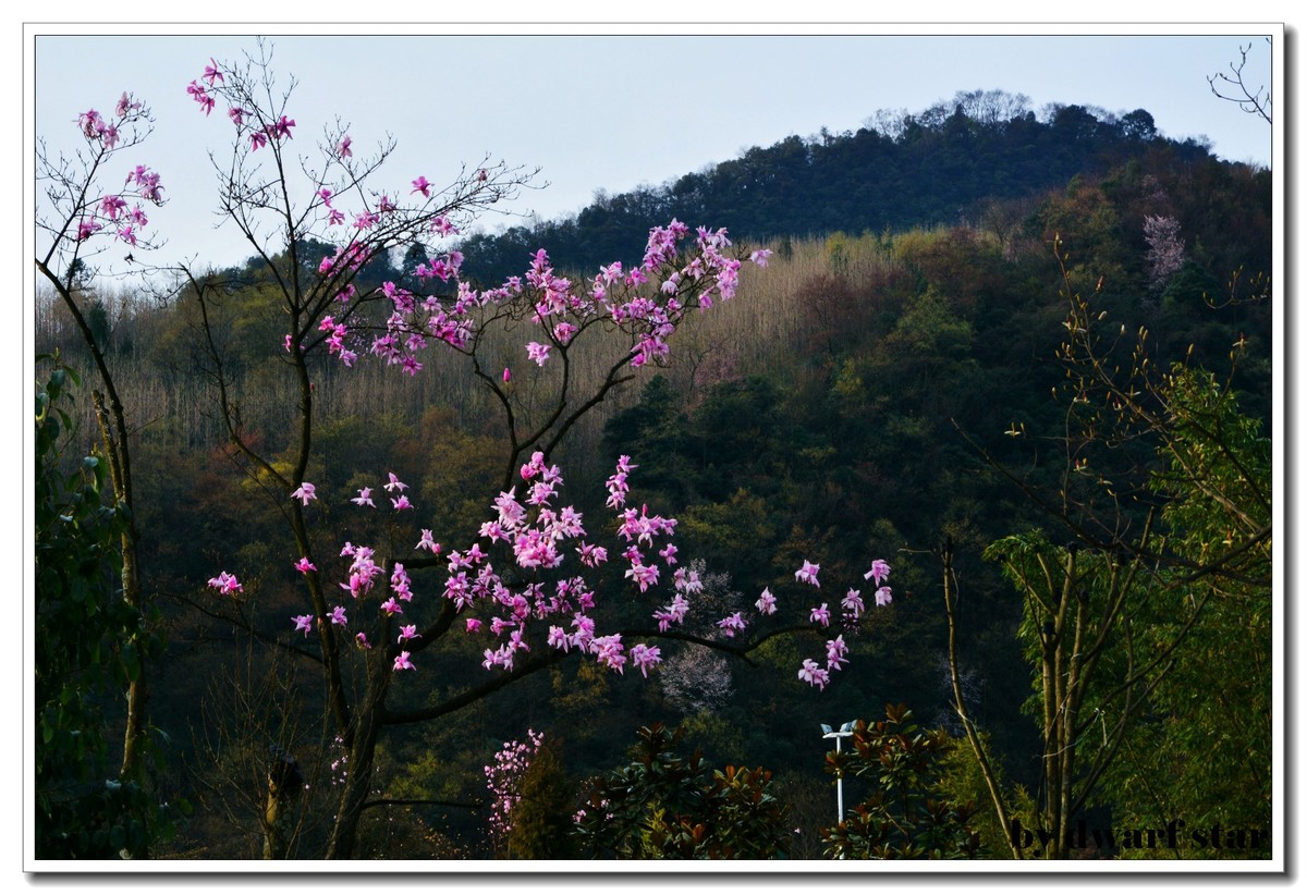  四川旅游最佳时间 什么季节来四川最好