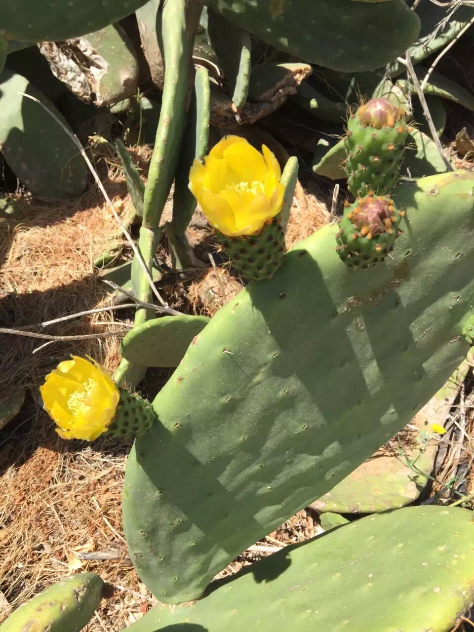 Malta 马耳他之旅 12,马耳他旅游攻略