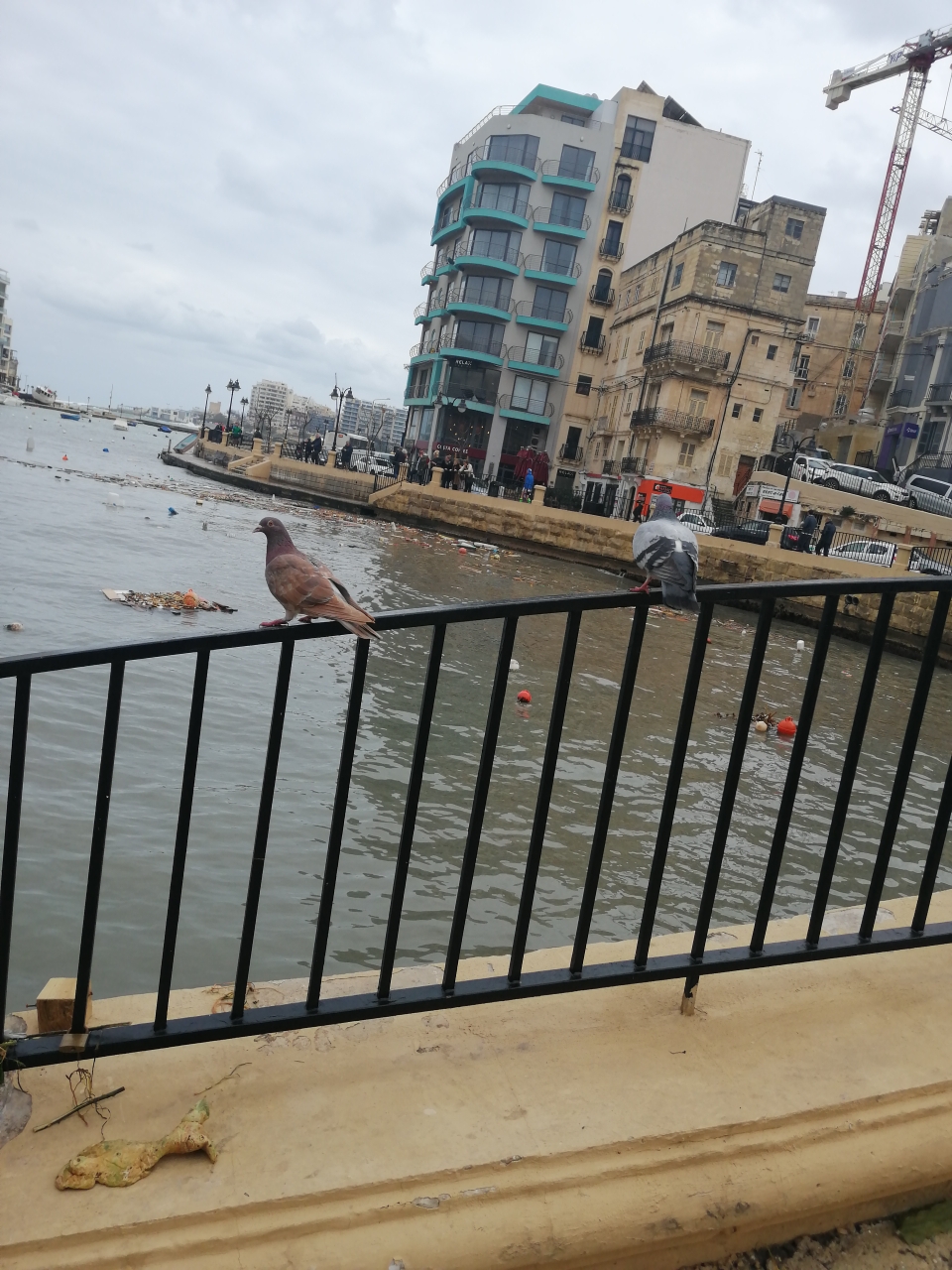 马耳他游学篇,马耳他旅游攻略